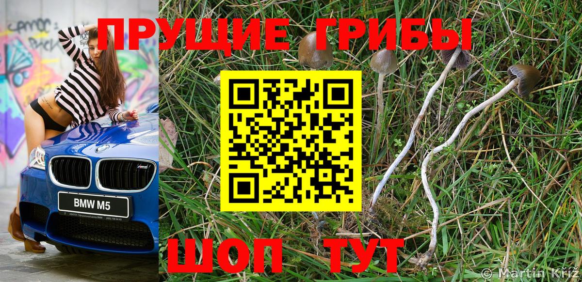 Псилоцибиновые грибы мухоморы Зерноград