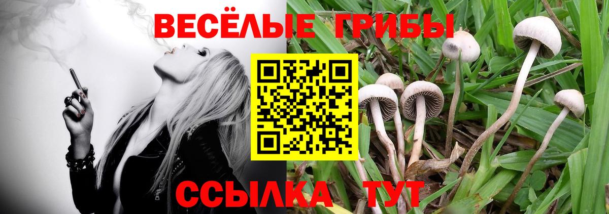 Зерноград  Псилоцибиновые грибы ЛСД  Псилоцибиновые грибы Psilocybine cubensis  Вход с VPN 